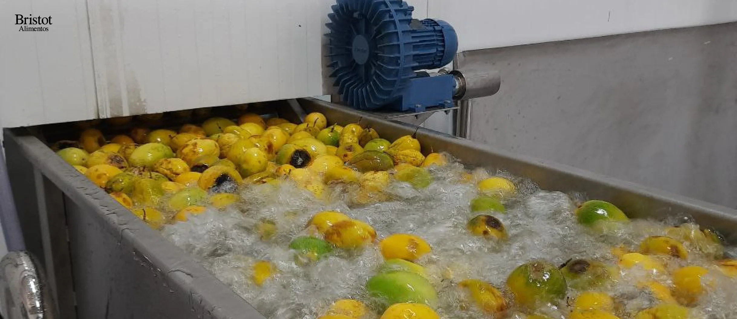 frutas para a polpa