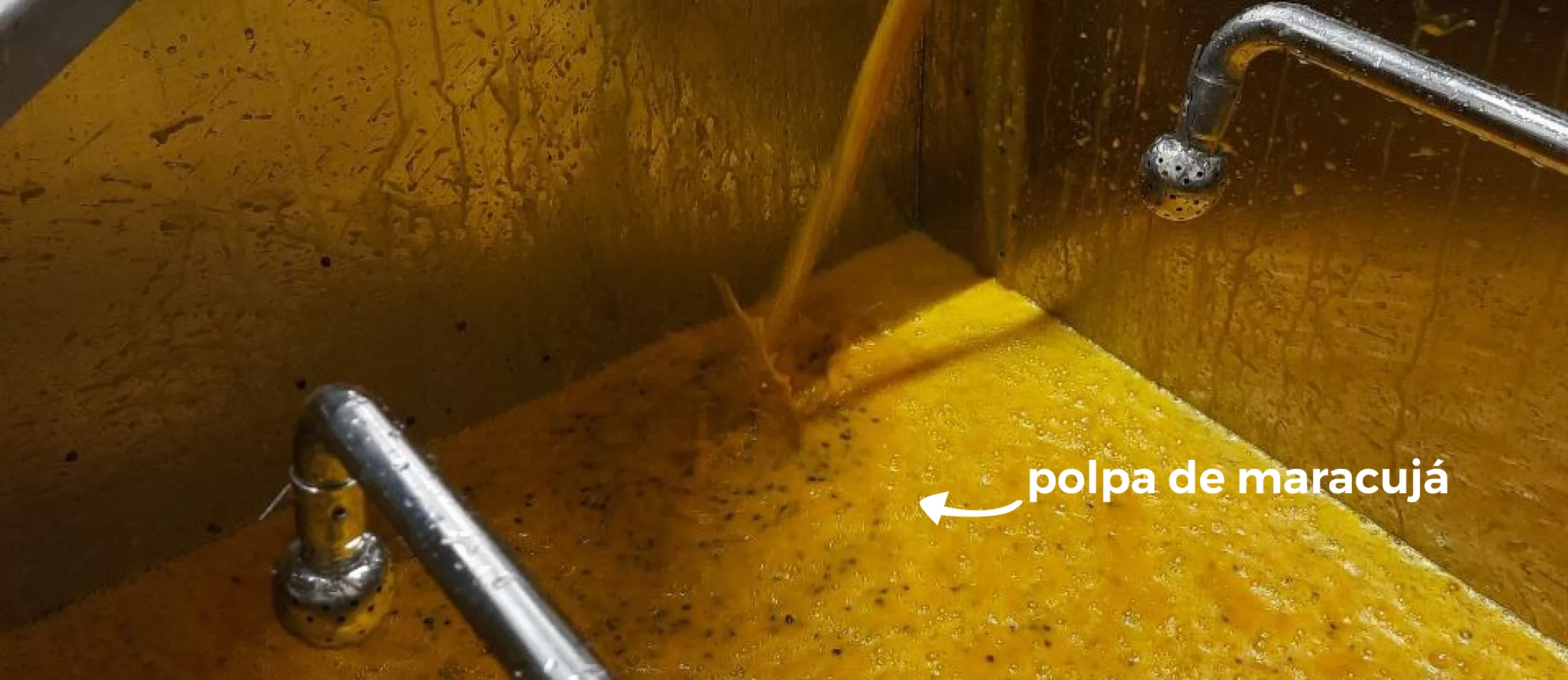 polpa de maracujá