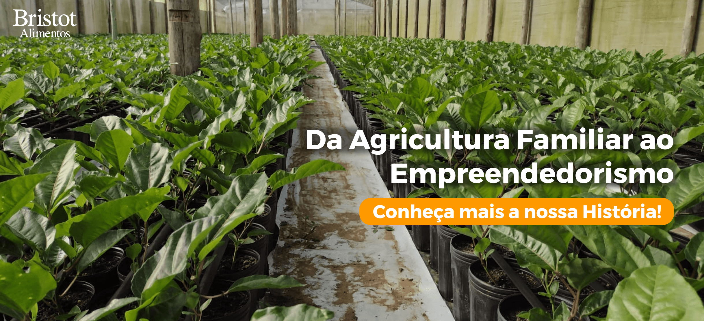 agricultura familiar