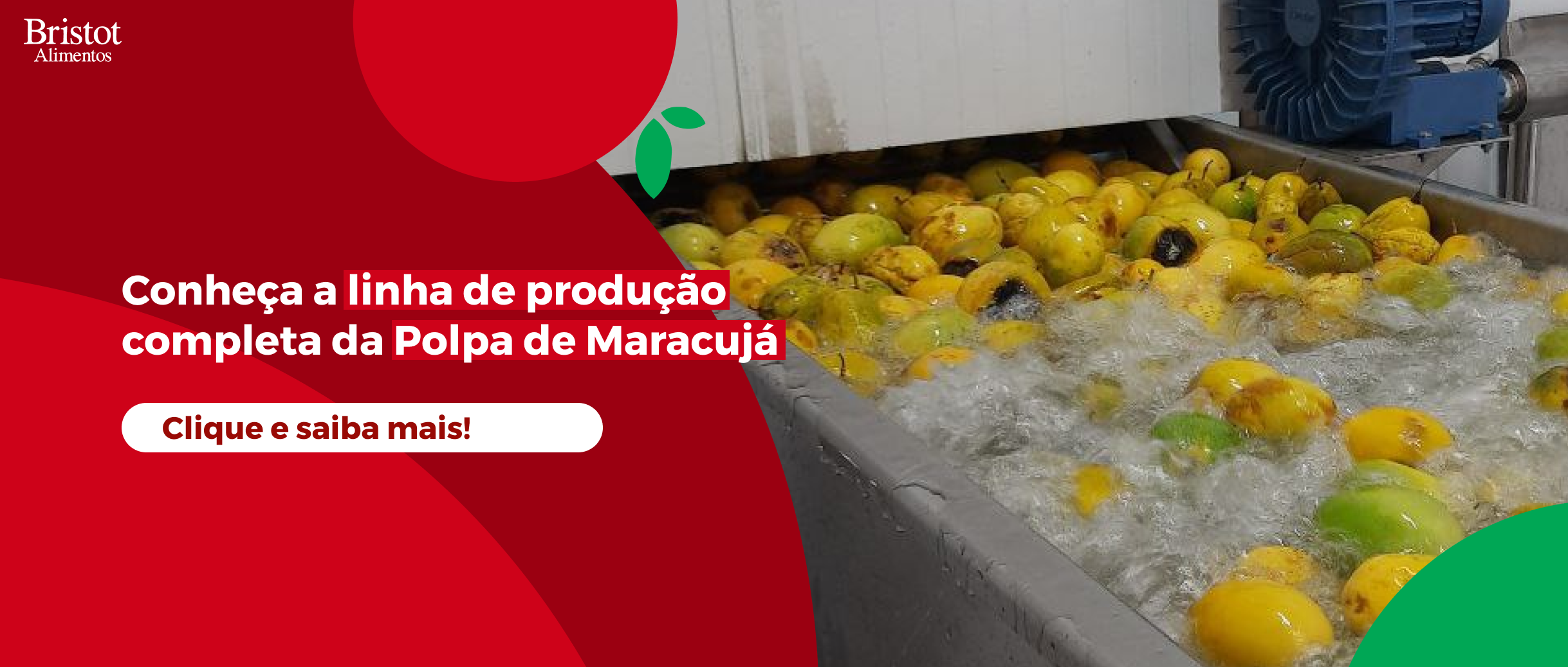 linha de produção da polpa de maracujá