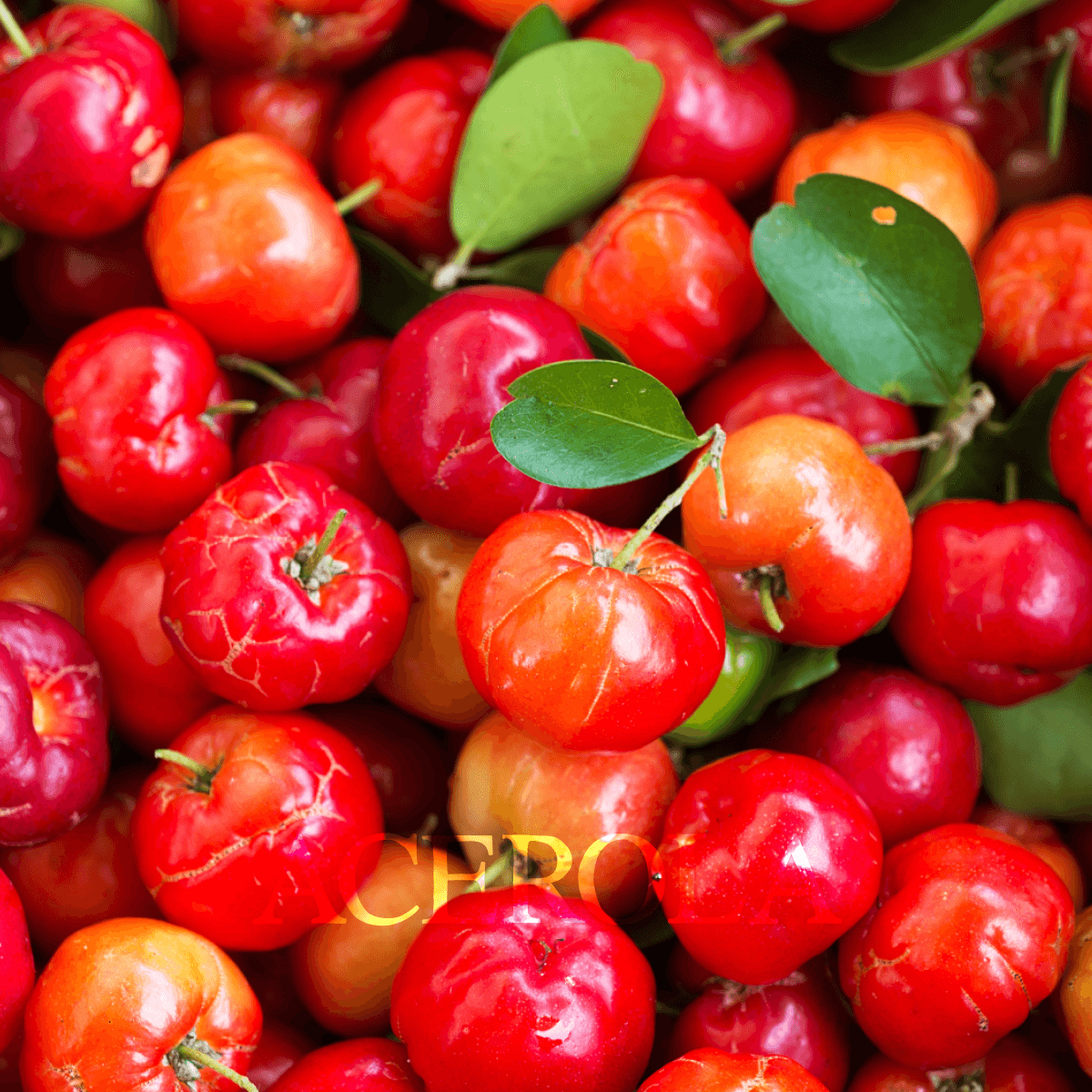 acerola p