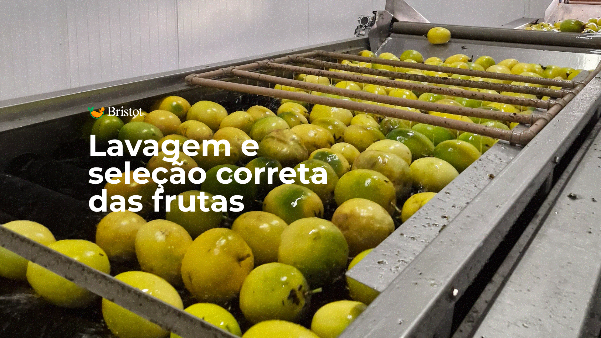 Como Conservar Polpa de Fruta Corretamente