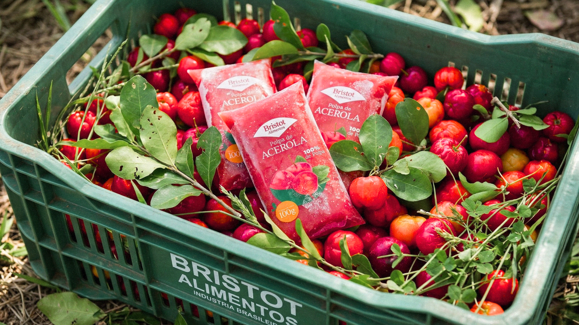 Benefícios da polpa de fruta para a saúde